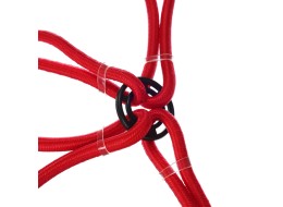 Correas elásticas de sujeción/gomas elásticas araña CARGO CORD SPIDER BASIC 80, 80 cm, 8 brazos