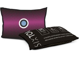 Juego de almohadillas deshumidificadoras para coche DRY CAR 2 x 350 g