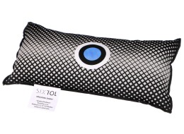 Almohadilla deshumidificadora para coche DRY CAR BIG BAG 1000g