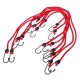 Juego de correas elásticas/gomas CARGO CORD SET BASIC 8, 8 uds