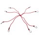 Correas elásticas de sujeción/gomas elásticas araña CARGO CORD SPIDER BASIC 120, 120 cm, 8 brazos