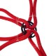 Correas elásticas de sujeción/gomas elásticas araña CARGO CORD SPIDER BASIC 120, 120 cm, 8 brazos