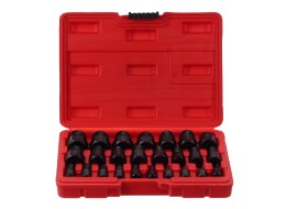 Juego de extractores para tornillos y tuercas dañados MECHANIC NUT REMOVER 2, 25 piezas