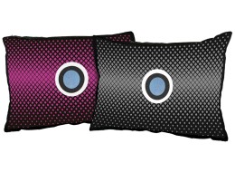 Juego de almohadillas deshumidificadoras para coche DRY CAR 2 x 350 g